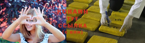 стаф Липки