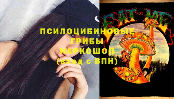 стафф Лабытнанги