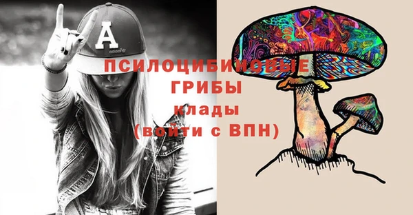 твердый Краснотурьинск