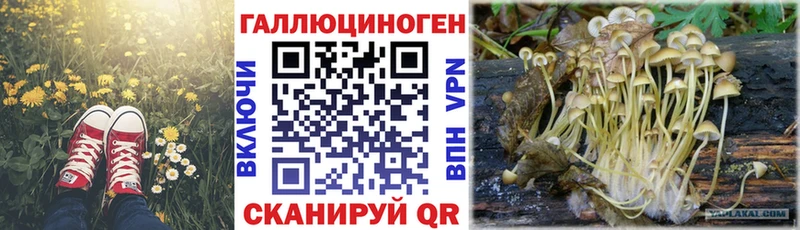 Псилоцибиновые грибы мухоморы  купить закладку  Себеж 