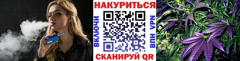 Марихуана OG Kush Себеж